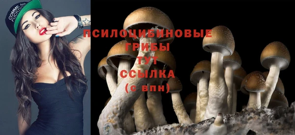 прущие крисы Инсар