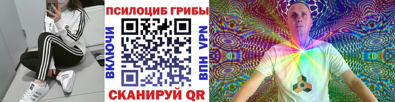 Галлюциногенные грибы Psilocybine cubensis  Купить закладки  Белоярский 